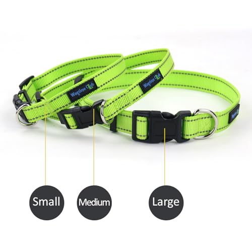 Collar reflectante para perros con hebilla ajustable S verde neón miniatura 4