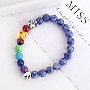 Pet Memorial GiftsRainbow Bridge Bracelet for Beloved Dog Cat8MM Mixed Color Bead 7 Chakra Pet Memorial Bracelet for Women Men Who Loss of PetsPet Sympathy Gift