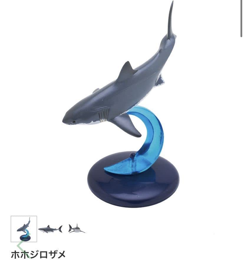 ホオジロザメ　アクリル画　原画 ホオジロザメ アクリル画 原画 61VIXVXkU7L._UF894,1000_QL80_.jpg