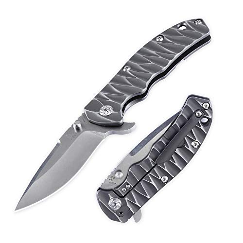 Kizer Cutlery Folding Pocket Knives Flipper Knife Frame Lock Gray Titanium Handles Tactical