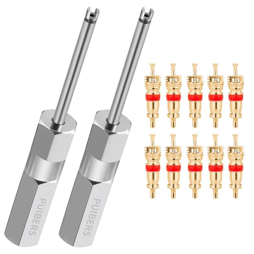 PUIBERS Magnetic Schrader Valve Stem Removal Tools, 4.3 Inch Valve Core Removal Tool Set with 10 Valve Cores,Stainless Steel Tire Valves Tool for Schrader Cores (2-Pack)