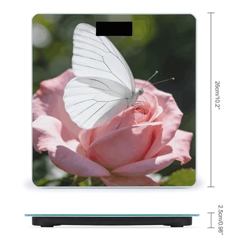Báscula de baño digital White Butterfly con pantalla LCD miniatura 2