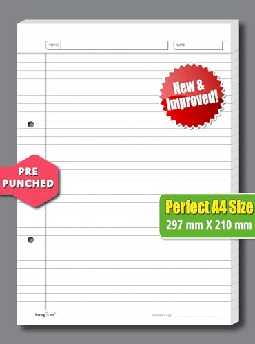 Image of Ruled Sheets A4 Size 90 GSM White Both Side Rule for Assignment, Project Work, Exam - 160 Sheets Loose Paper Bundle with Border, Non-Punched, Blue Rule and Magenta Margin - Glanza Edition