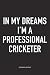 Produktbild In My Dreams I'm A Professional Cricketer: A 6x9 Inch Matte Softcover Notebook Diary With 120 Blank Lined Pages And A Funny Sports Fanatic Cover Slogan