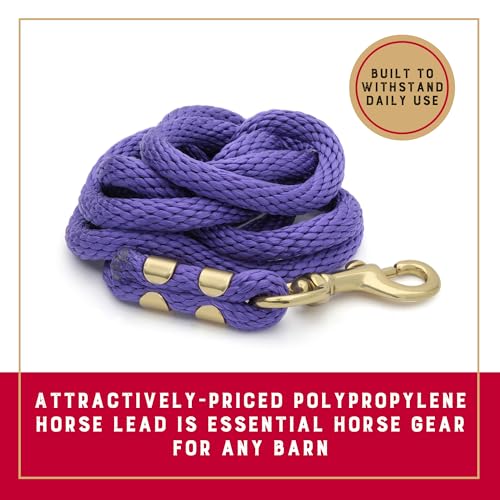 Image of Weaver Equine Performance Lead Rope, Lime Zest, 8' Horse Value Rope with Brass Plated 225 Snap, Soft Comfort Grip, Barn Horse Tack for Daily Use