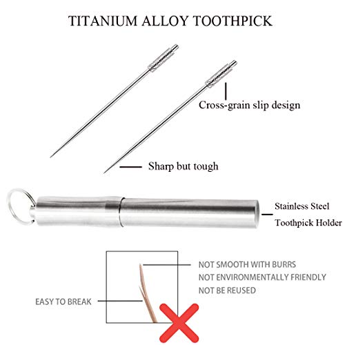 Tandenstokerhouder met 2 Stuks Titanium Tandenstokers, Herbruikbare Voedselfruitplectrums voor Campingpicknick - Afbeelding 4