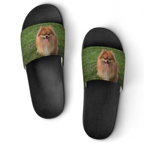Pomeranian Dog Shower Slippers for Women Men Casual Non-Slip Slide Sandals Beach Bathroom Shoes
