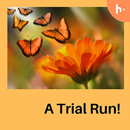 A Trial Run Podcast Por Baishakhi arte de portada