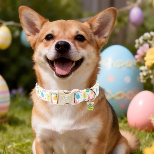 Image of Easter Day Dog Collar, UP URARA PUP Easter Bunny Adjustable Pet Collar with Quick Release, Colorful Rabbits Dog Collars for Small Medium Large Dogs