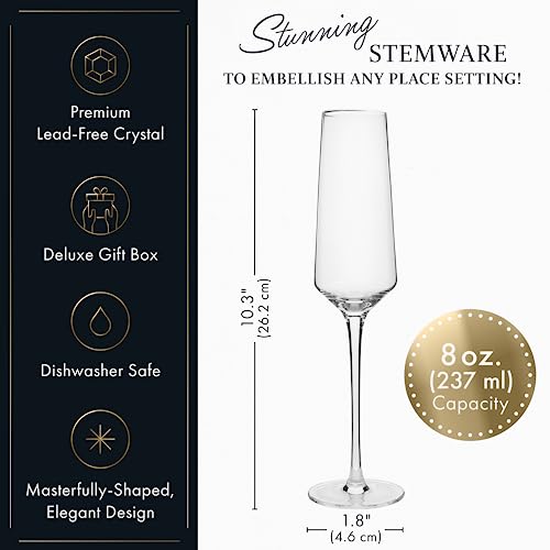 Elixir Glassware Elx Flute Classic 6Px #TOP2