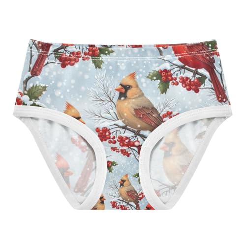 Red Birds Berries Kids Underwear, Toddler Girl Panties, Cotton Girls Underwear, 2–8 Years