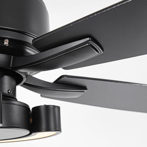 Image of 52 Inch Black Ceiling Fans with Lights and Remote - Creative Modern Ceiling Fan for Bedroom Living Room with 3CCT, 6 Speeds, Quiet, Dual-Sided Reversible 5 Blades Indoor Outdoor Chandelier Fan