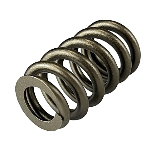 Eysenc EYA015GM03 Ls Valve Springs Pac1218 Racing Valve Springs Compatible thumb #3
