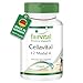 Produktbild Fairvital | Cellavital - 120 Kapseln - HOCHDOSIERT - Antioxidantien im Komplex mit Acetyl-L-Carnitin, Taurin, Q10 und mehr