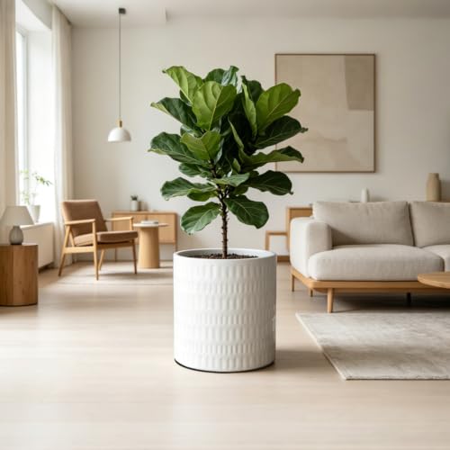 YUFDA 12 Inch Ceramic Plant Pot with Drainage by YUFDA - Used condition - Image 6