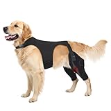 Pawfun Dog Knee Brace for Torn ACL Hind Leg- Dog Leg Support Brace with Metal Stabilizers for Torn CCL, Limping, Luxating Patella, Ligament Injuries, Hip Dysplasia& Arthritis,L&Vest4