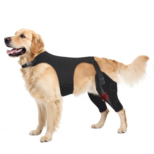 Pawfun Dog Knee Brace for Torn ACL Hind Leg- Dog Leg Support Brace with Metal Stabilizers for Torn CCL, Limping, Luxating Patella, Ligament Injuries, Hip Dysplasia& Arthritis,L&Vest4