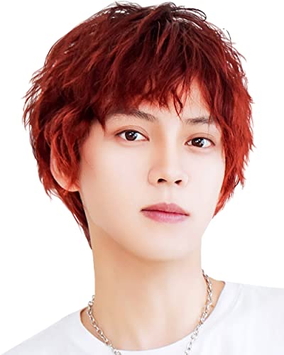 [TefuRe] メンズ ショート ウィッグ スパイラル パーマ カール ふんわり 耐熱 フルウィッグ かつら 男装 韓国 艶消しファイバー 自然 ウィッグネット 付 MEN-004 (ブラック/レッド)