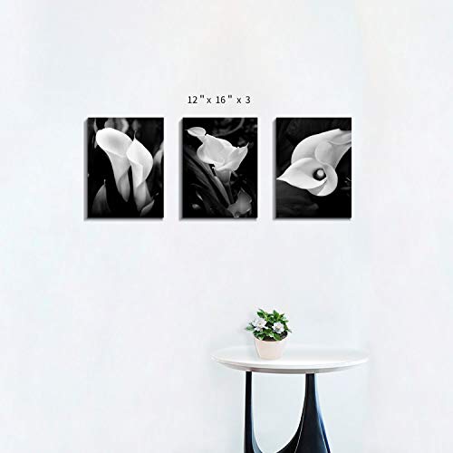 Hardy Gallery Floral Artwork Flower Painting Picture: Calla-Lily Print On Canvas Set For Wall Art (16”X12”X3Pcs) #TOP1