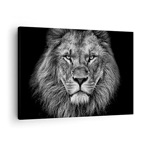 Portrait lion noir et blanc haut de gamme : tableau décoratif horizontal