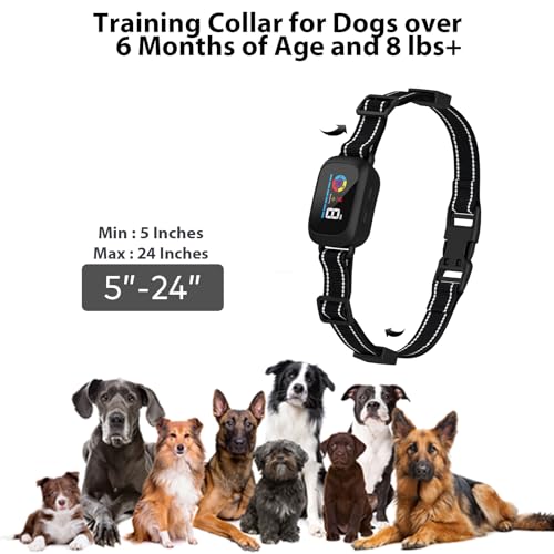 Poreids Collar Display and Strap