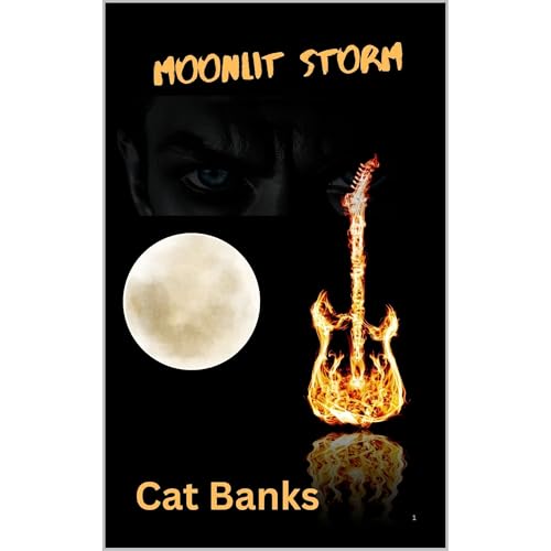 Moonlit Storm Audiolibro Por Cat Banks arte de portada