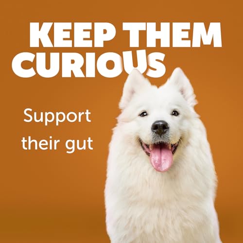 Daily Care Gut+ Wellness, 60 probiotic and postbiotic Dog Supplement Chews – Duck and Carrot Flavored Daily Care Gut+ Wellness, 60 probiotic and postbiotic Dog Supplement Chews – Duck and Carrot Flavored