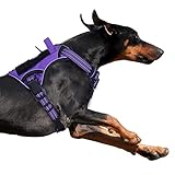 BUMBIN Tactical Dog Harness for Large Dogs No Pull, Famous TIK Tok No Pull Puppy Harness, Fit Smart Reflective Pet Walking Harness for Training, Adjustable Dog Vest Harness with Handle Purple L