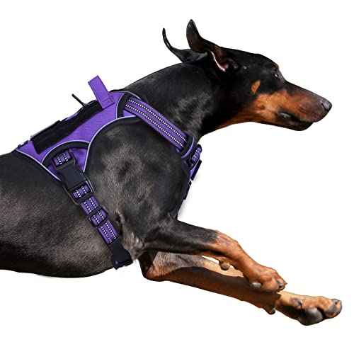 BUMBIN Tactical Dog Harness for Large Dogs No Pull, Famous TIK Tok No Pull Puppy Harness, Fit Smart Reflective Pet Walking Harness for Training, Adjustable Dog Vest Harness with Handle Purple L