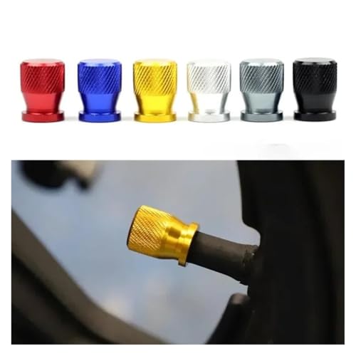 Capuchon de valve de pneu moto contre la perte de pression Suzuki SV 650 S