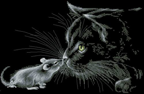 Peinture au Diamant 5D Chaton et Souris 30x40cm | Kit Complet Broderie Diamant