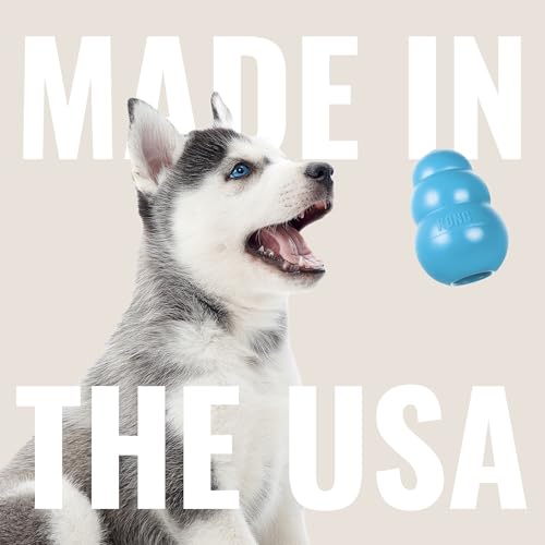 KONG Puppy Flyer - Wurfscheibe Hundespielzeug aus weichem Naturkautschuk - Sanftes Gummispielzeug für Wachsende Welpen - Für Kleine Welpen