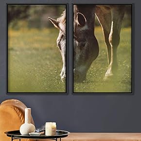 signwin 2 Piece Framed Canvas Wall Art Horse...