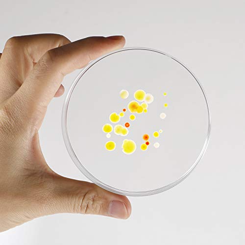 Keileoho 80 Pcs Plastic Petri Dish, 90Mm Dia × 15Mm Deep Clear Petri Dish With Lid Sterile Culture,Package Equipped With 200 Pcs 3Ml Transfer Pipettes #TOP4
