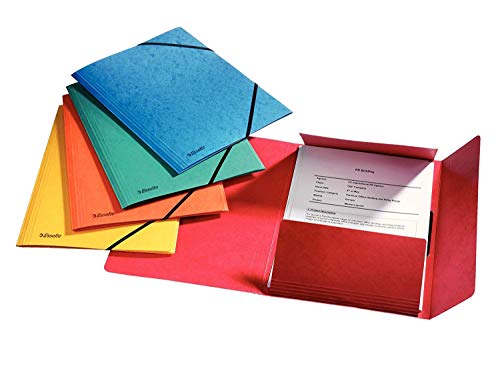 Chemises en carton 24x32 cm de grande capacité pour stocker 200 feuilles A4