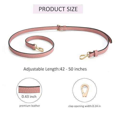Image of Crossbody Strap Compatible for Longchamp LP Xtra XS Pouch, Conversion Kit,GOLD Hardware