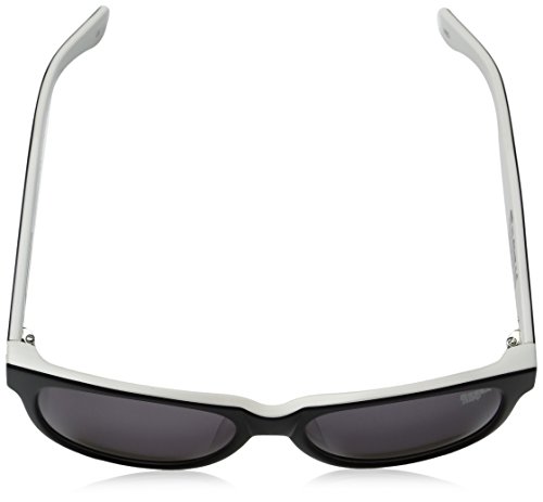 Big Risky 39-3901 Wayfarer Sunglasses4