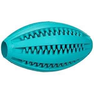 TRIXIE Pelota Rugby Denta Fun, Menta, Caucho, 11 cm, Perro, Todos Los Tamaños De Razas