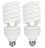 42 Watt CFL Light Bulb, (150W Equal) 6500K Daylight 80 CRI 2800 Lumens (2 Pack)