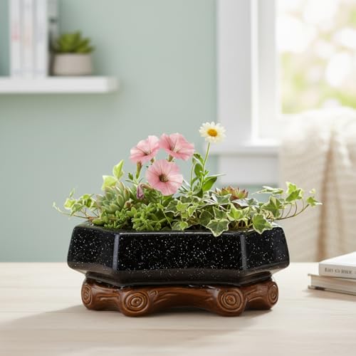Image of Xtore Refined Rustic Ceramic Bonsai Planter Pot for Indoor & Tabletop Decor | Handcrafted Wide Bowl with Wooden Base Stand for Succulents, Zen Gardens & Home Styling (Pack of 1,Planter Only)
