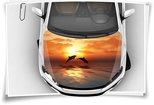 Medianlux Motorhaube Auto-Aufkleber Delphin Delphine Sonnenuntergang Meer Steinschlag-Schutz-Folie Airbrush Tuning Car-Wrapping Luftkanalfolie Digitaldruck Folierung