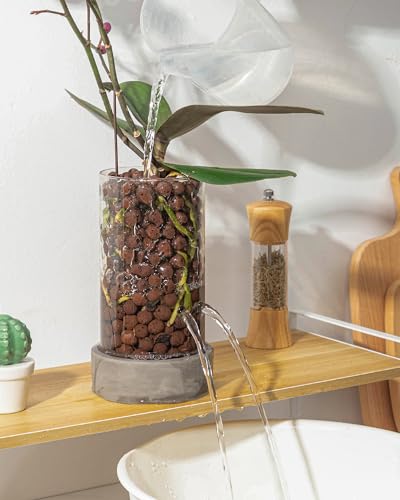 Fayoula Glass Orchid Pot, 4 Inch Clear Orchid Pot With Holes For Repotting thumb #3