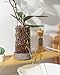 Fayoula Glass Orchid Pot, 4 inch Clear Orchid Pot with Holes for Repotting, Visual, Well-Ventilated, Providing a Stable and Healthy Growth Environment for Plants