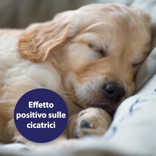 Canosept Gel Per Ferite Cane 20ml - Gel antisettico per cani - Unguento per ferite per cani - Pulizia e cura delle aree ferite - Cura ottimale delle ferite - Applicazione senza stress - 4