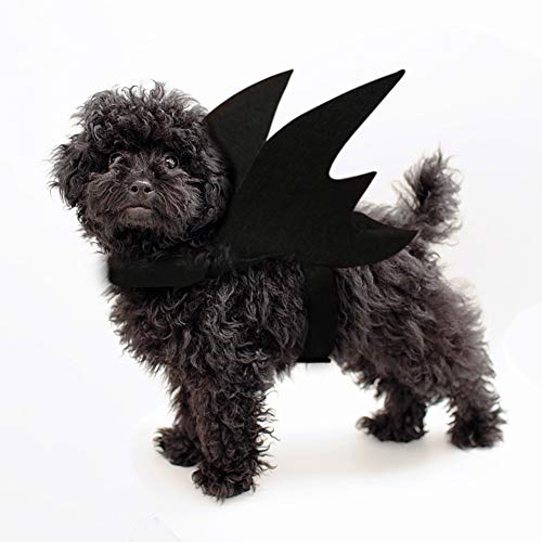 JDYW Katze Kostüm Fledermausflügel für Katzen Hunde Katzenkostüm Hundekostüm für Haustiere (Bat Wings)