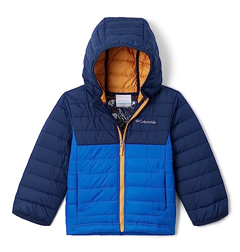 Image of Columbia Kids Powder Lite Hooded Jacket (Little Kids /Big Kids)