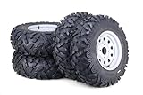 LIBRA ATV Tires and Wheels Assembly Set 25x8-12 25x10-12 6-Ply with 4-110 PCD 5+2 Silver Rims-17035,SET 4