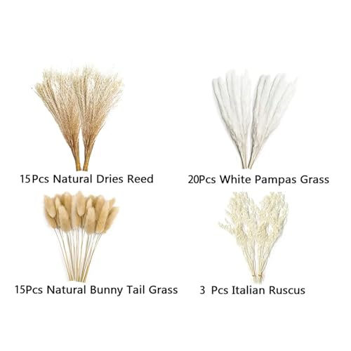 White Natural Pampas Grass Dried Flores Decorativas miniatura 3
