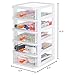 Gagee 5 Drawer Mini Stackable Storage Drawers,Plastic Dressers with Drawers for Arts and Crafts, Small Tools, Sewing Accessories, Stationary, and Hardware,Clear/White Frame