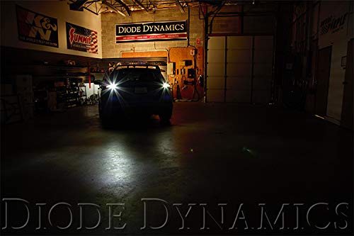 Diode Dynamics Backup LEDs compatible with Ford Focus 2016-2018 RS (pair), 194 HP5